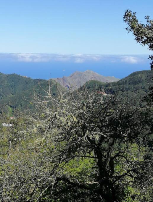 Monte Verde Chinamada Exteriér fotografie
