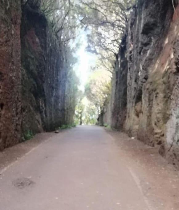 Monte Verde Chinamada Exteriér fotografie