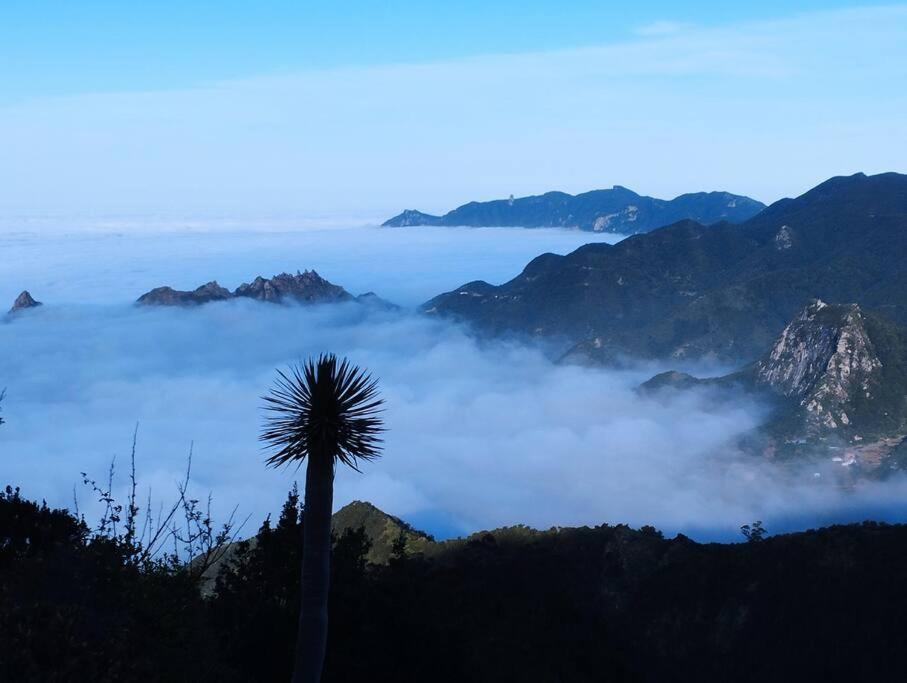 Monte Verde Chinamada Exteriér fotografie